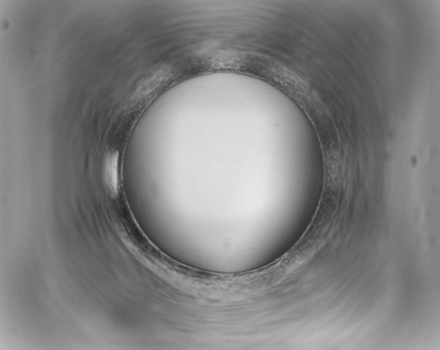 X0000060280028200510281243