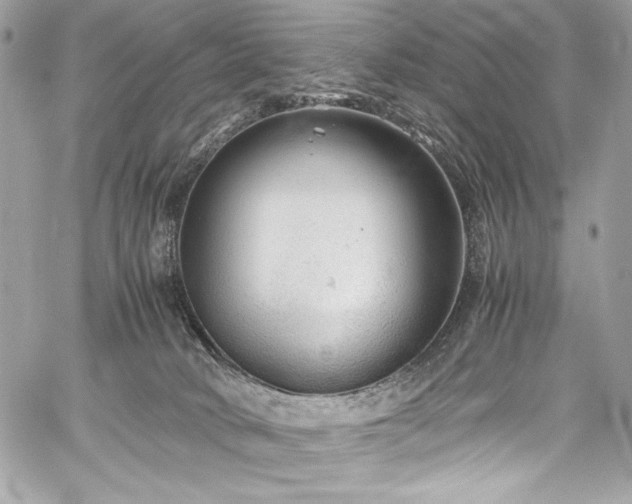 X0000060280034200510281243