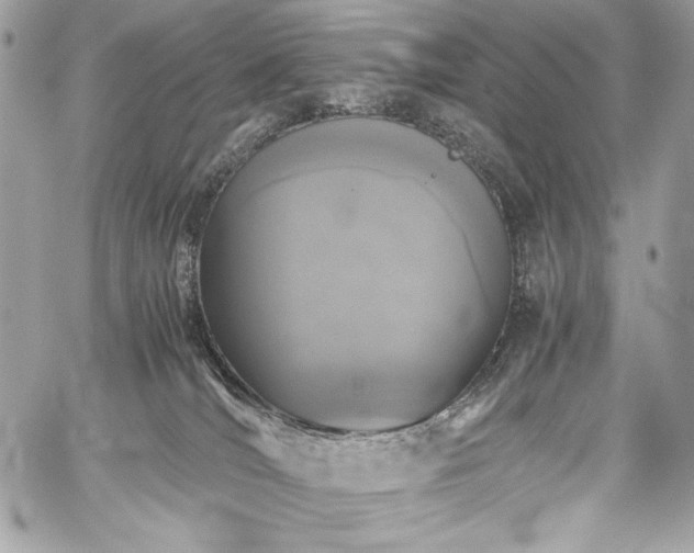 X0000060280036200510281243