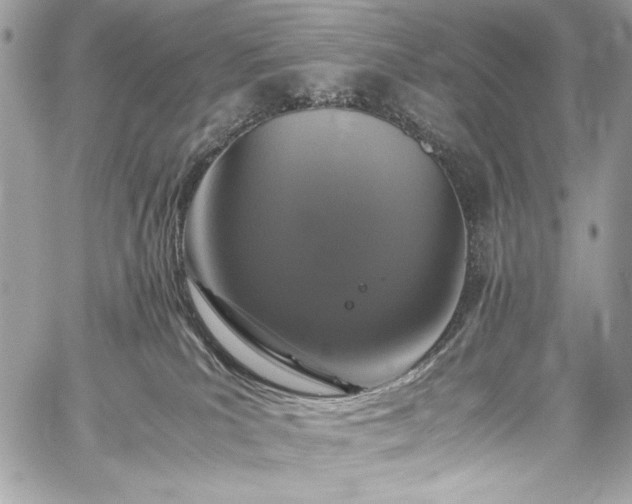 X0000060280039200510281243