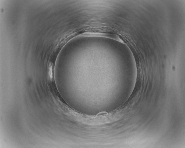 X0000060280042200510281243