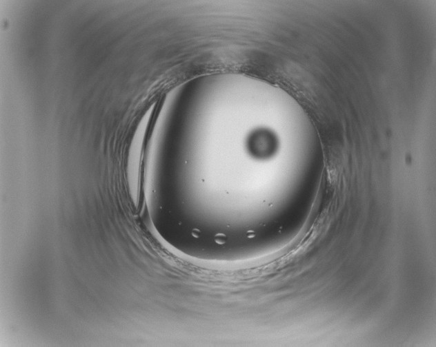 X0000060280045200510281243