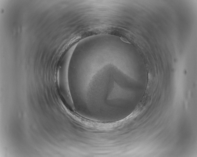 X0000060280048200510281243