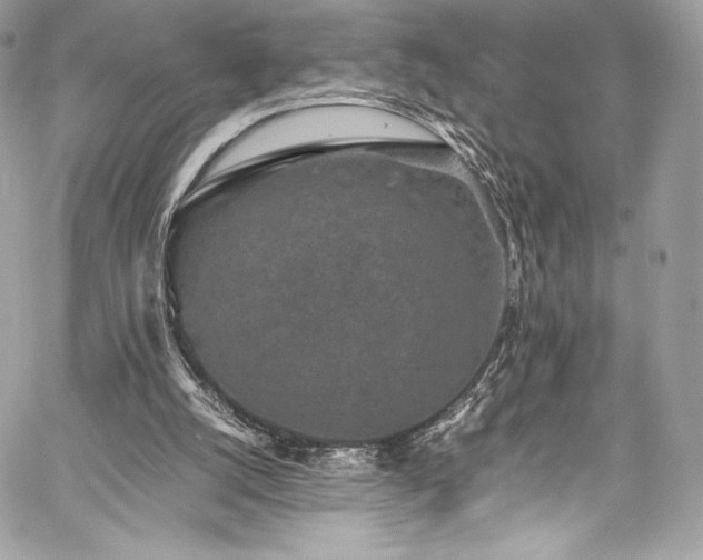 X0000060280056200510281242