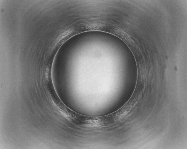 X0000060280071200510281243