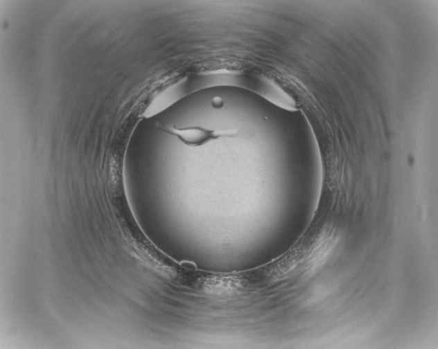X0000060280077200510281243