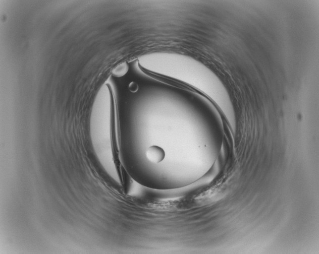 X0000060280079200510281243