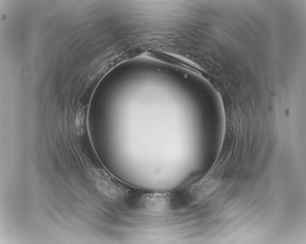 X0000060280082200510281243