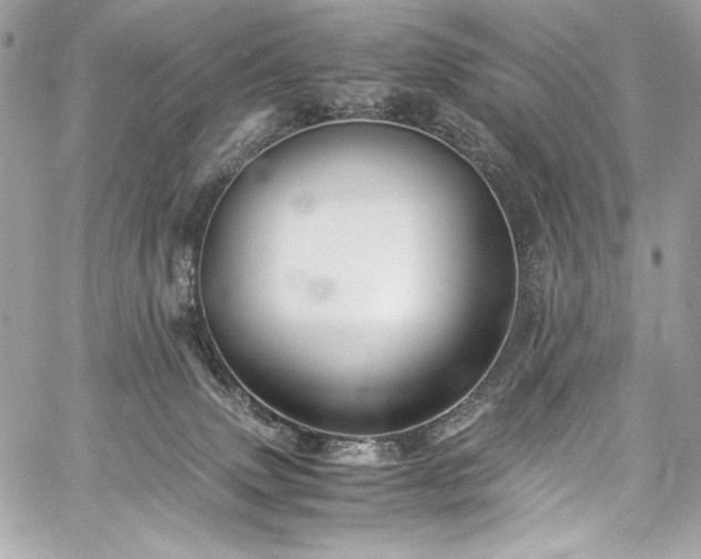 X0000060280083200510281243
