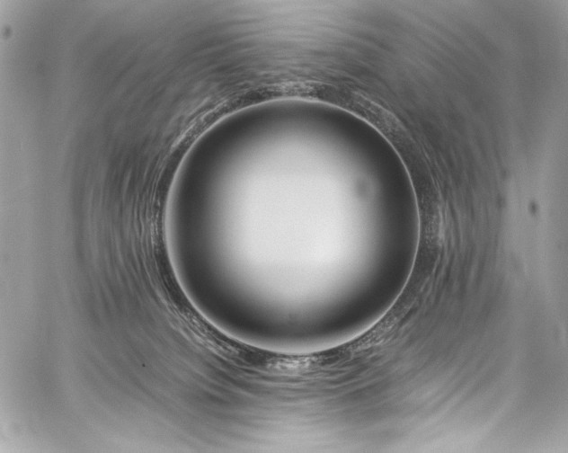 X0000060280084200510281243