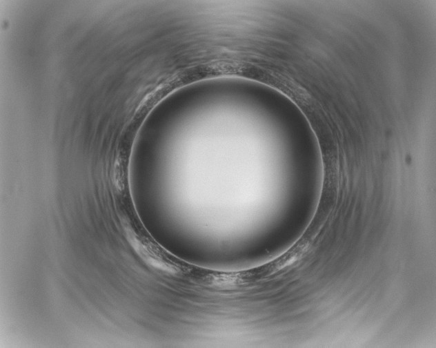 X0000060280088200510281243