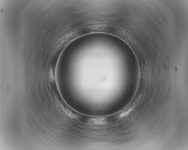 X0000060280089200510281243