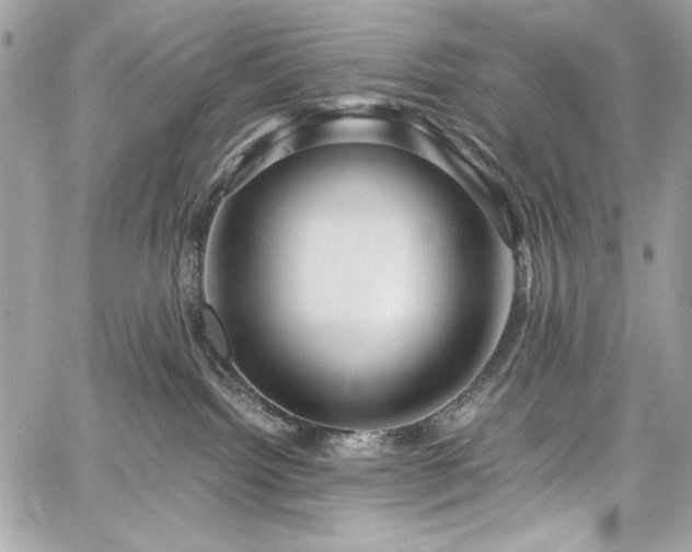 X0000060280092200510281243