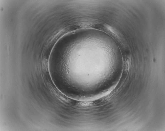X0000060280093200510281243