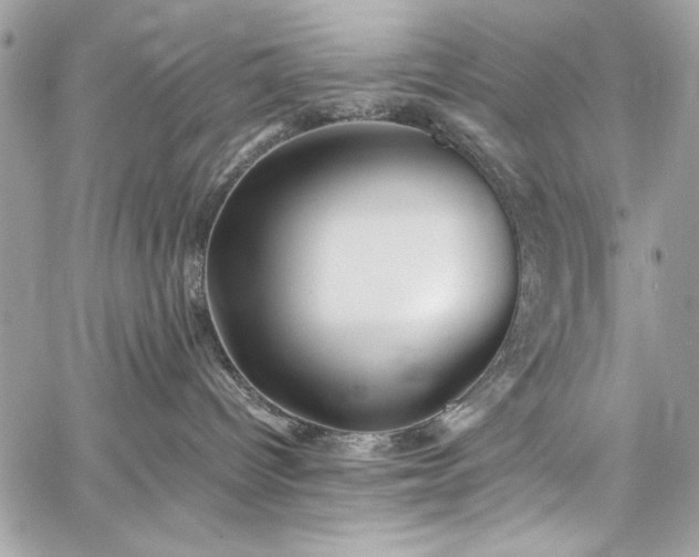 X0000060280096200510281243
