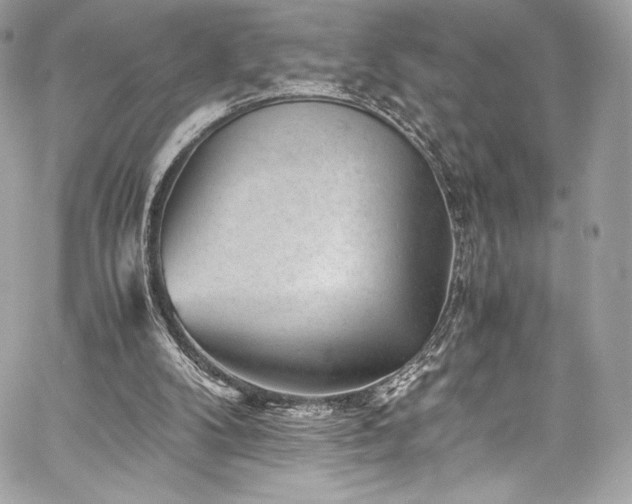 X0000060280104200510281242