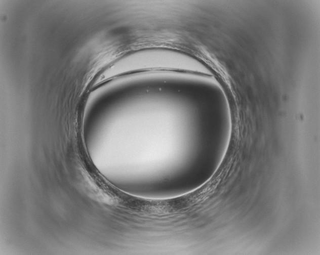 X0000060280107200510281242