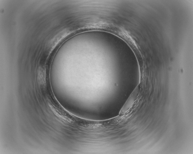 X0000060280108200510281242