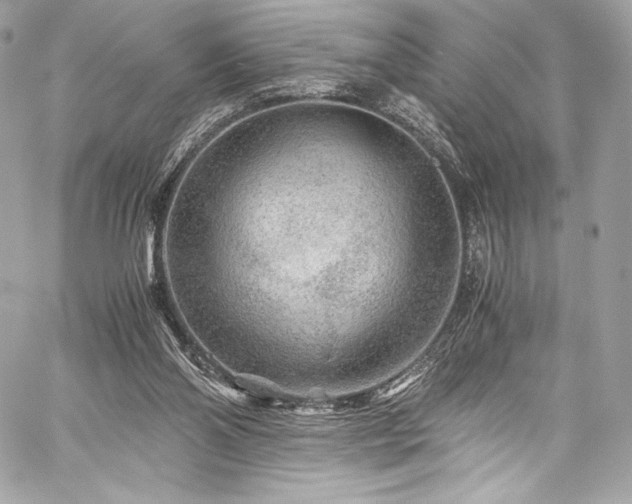 X0000060280110200510281242