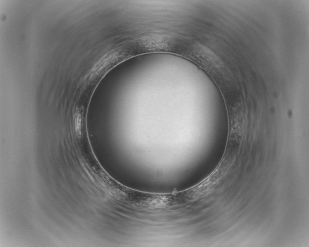 X0000060280124200510281242