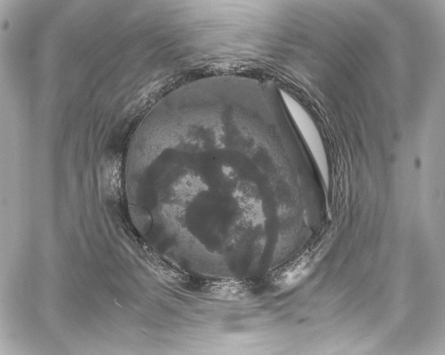X0000060280127200510281242