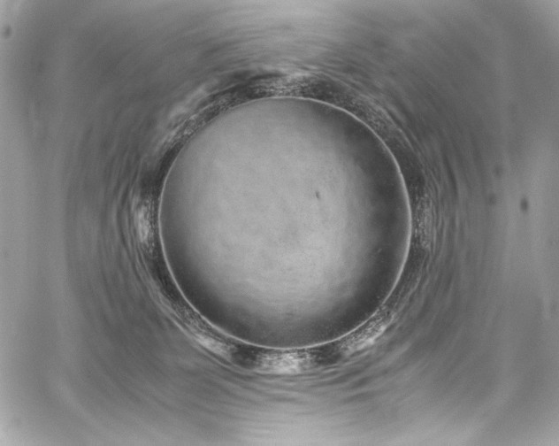 X0000060280131200510281242