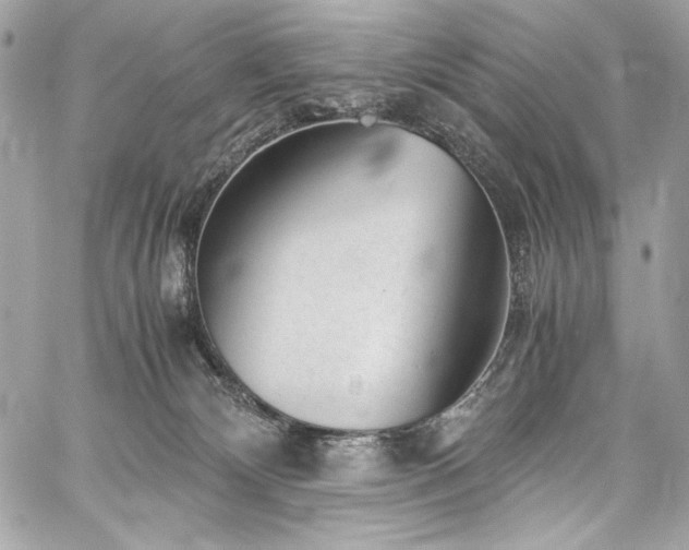 X0000060280132200510281242