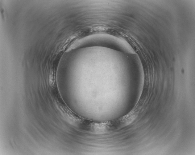 X0000060280134200510281242