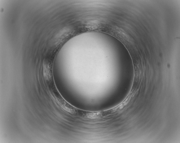 X0000060280136200510281241