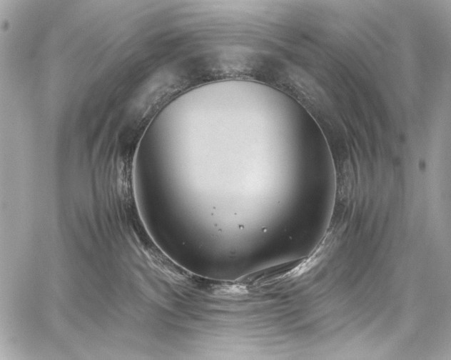 X0000060280140200510281241