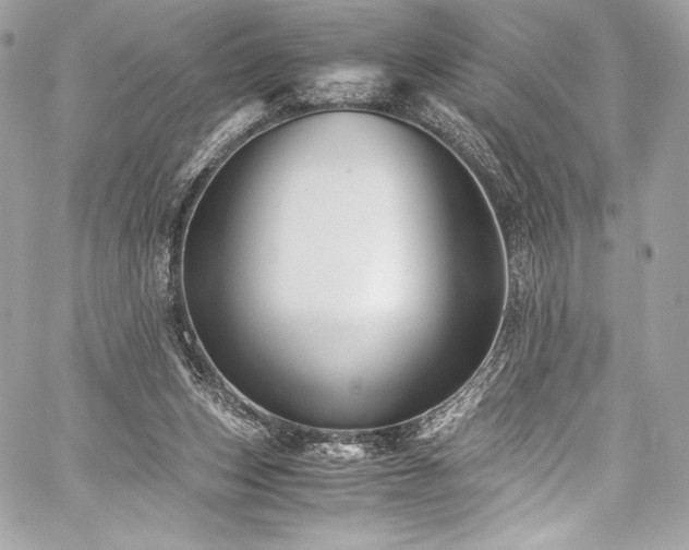 X0000060280159200510281241