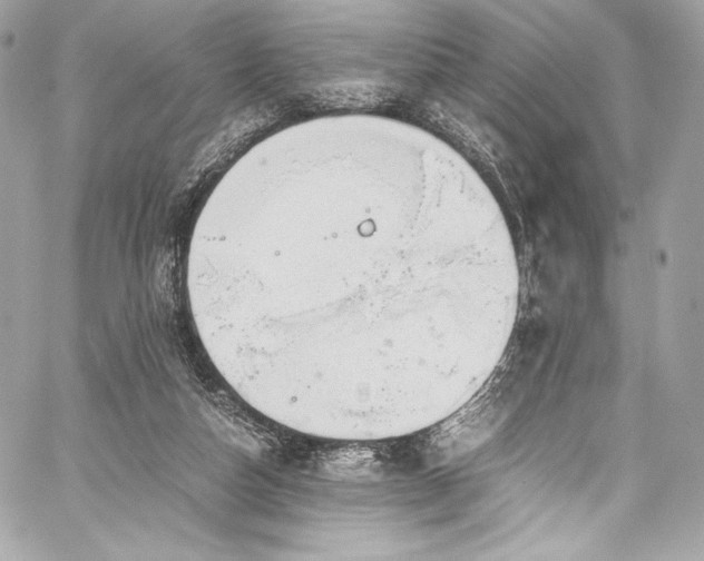 X0000060280162200510281241