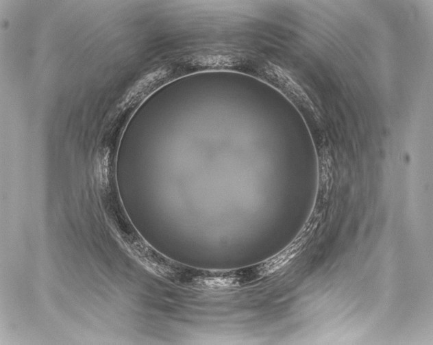 X0000060280163200510281241