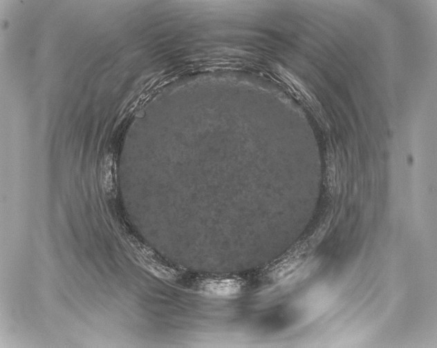 X0000060280169200510281241