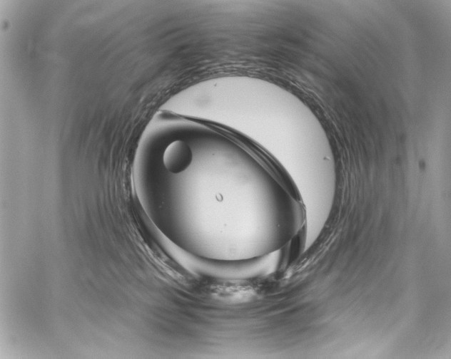 X0000060280185200510281241