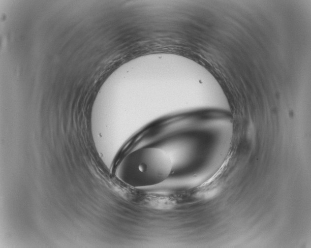 X0000060280187200510281241