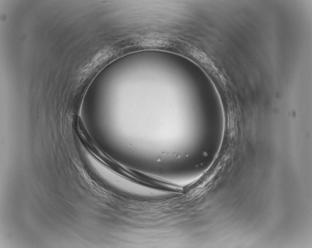 X0000060280201200510281240