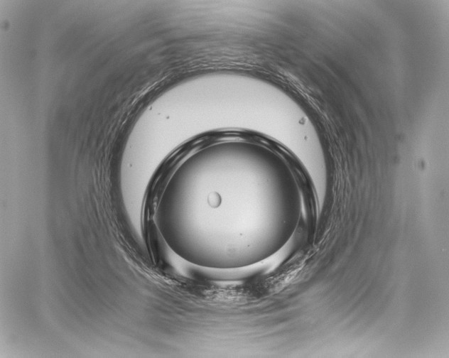 X0000060280211200510281240