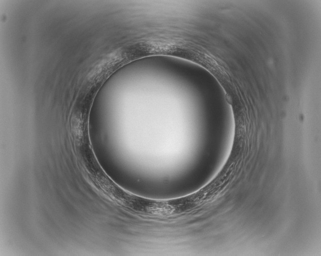 X0000060280215200510281240