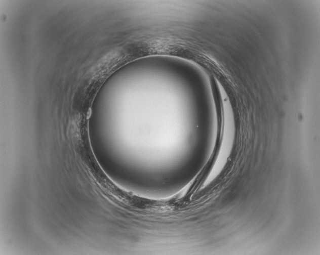 X0000060280217200510281240