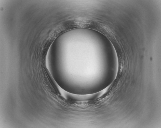 X0000060280221200510281240