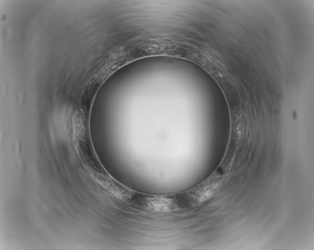 X0000060280226200510281240