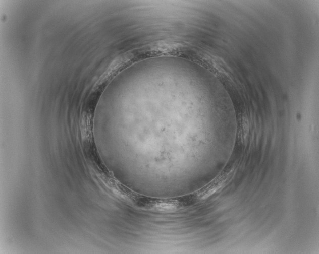 X0000060280236200510281240