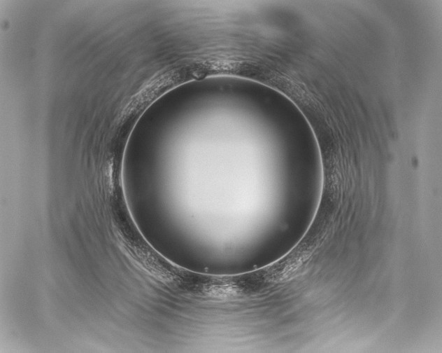 X0000060280262200510281239