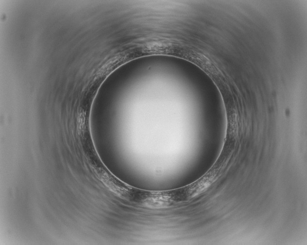 X0000060280278200510281240