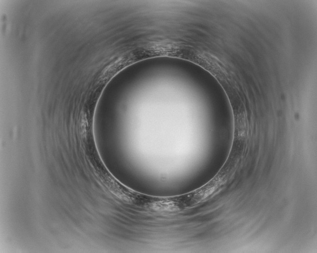 X0000060280279200510281240