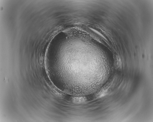 X0000060280281200510281240