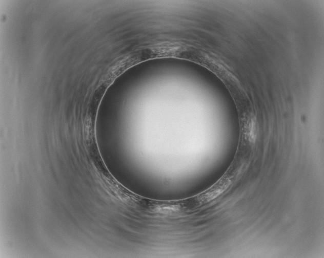 X0000060280283200510281240