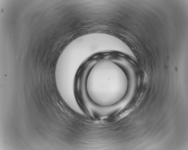 X0000060280284200510281240
