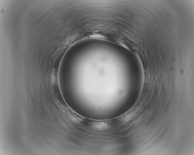 X0000060280287200510281240